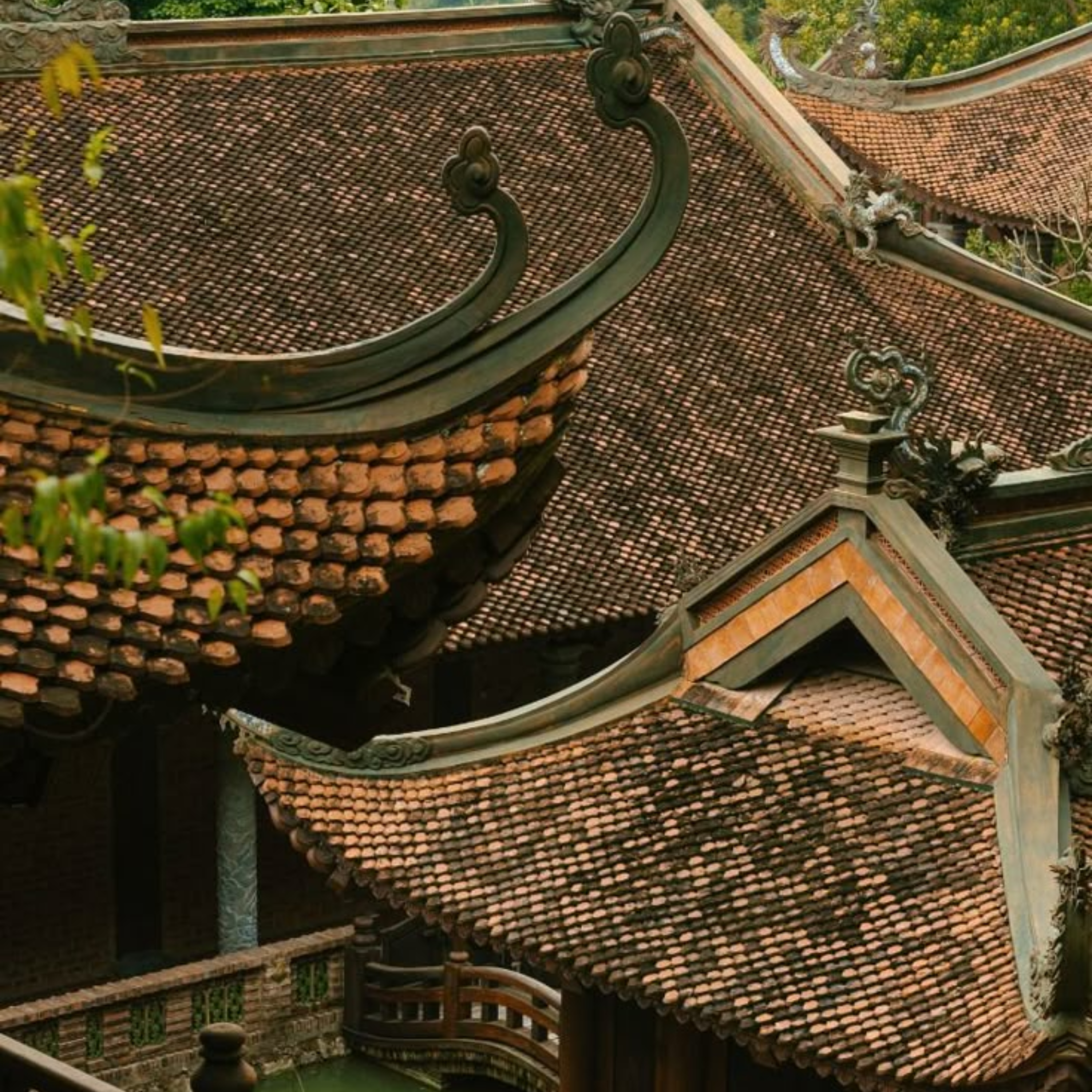 Miền Bắc 